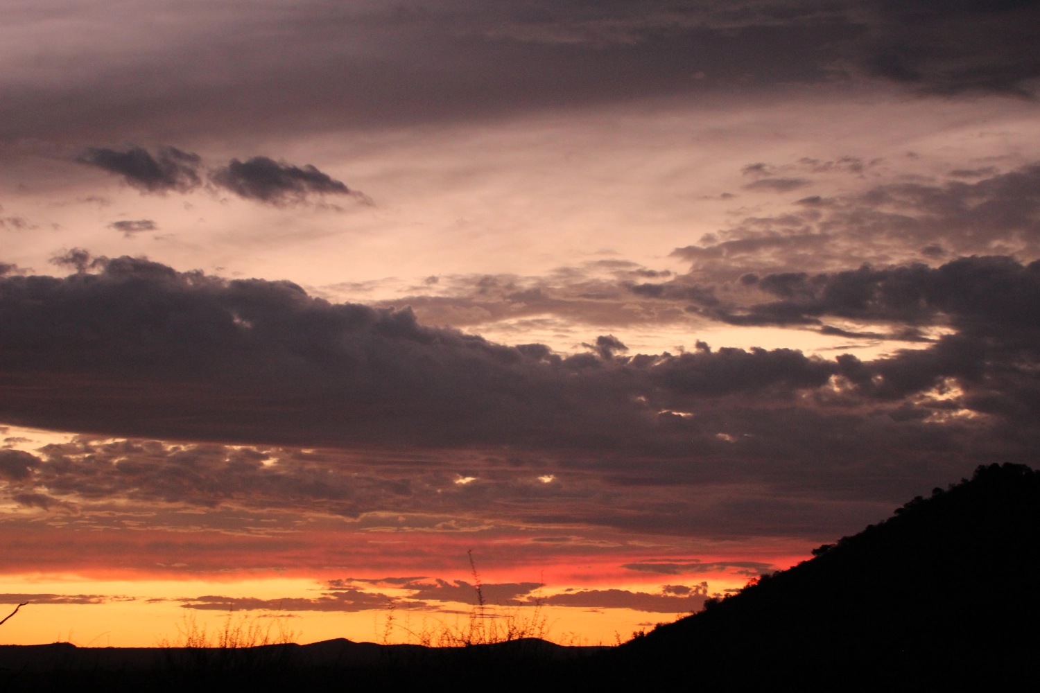 Naturblick von Spirit of Madikwe - Afrika Erleben